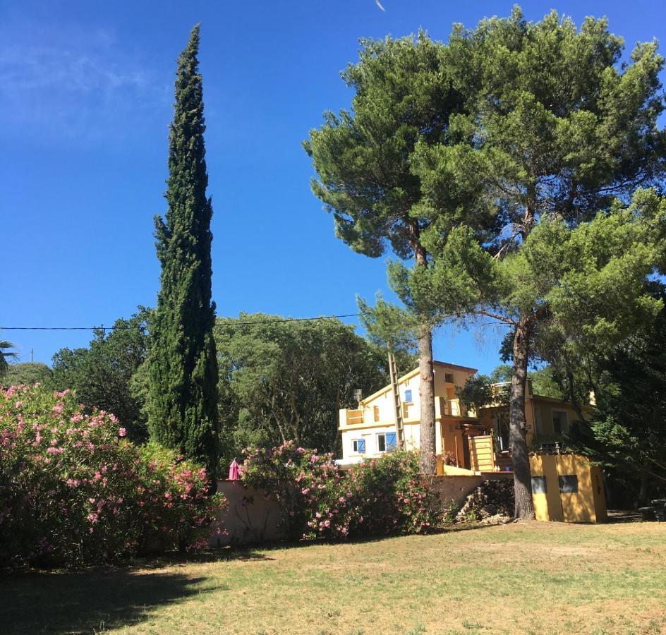 Gites De La Massane Argelès-sur-Mer Exterior foto