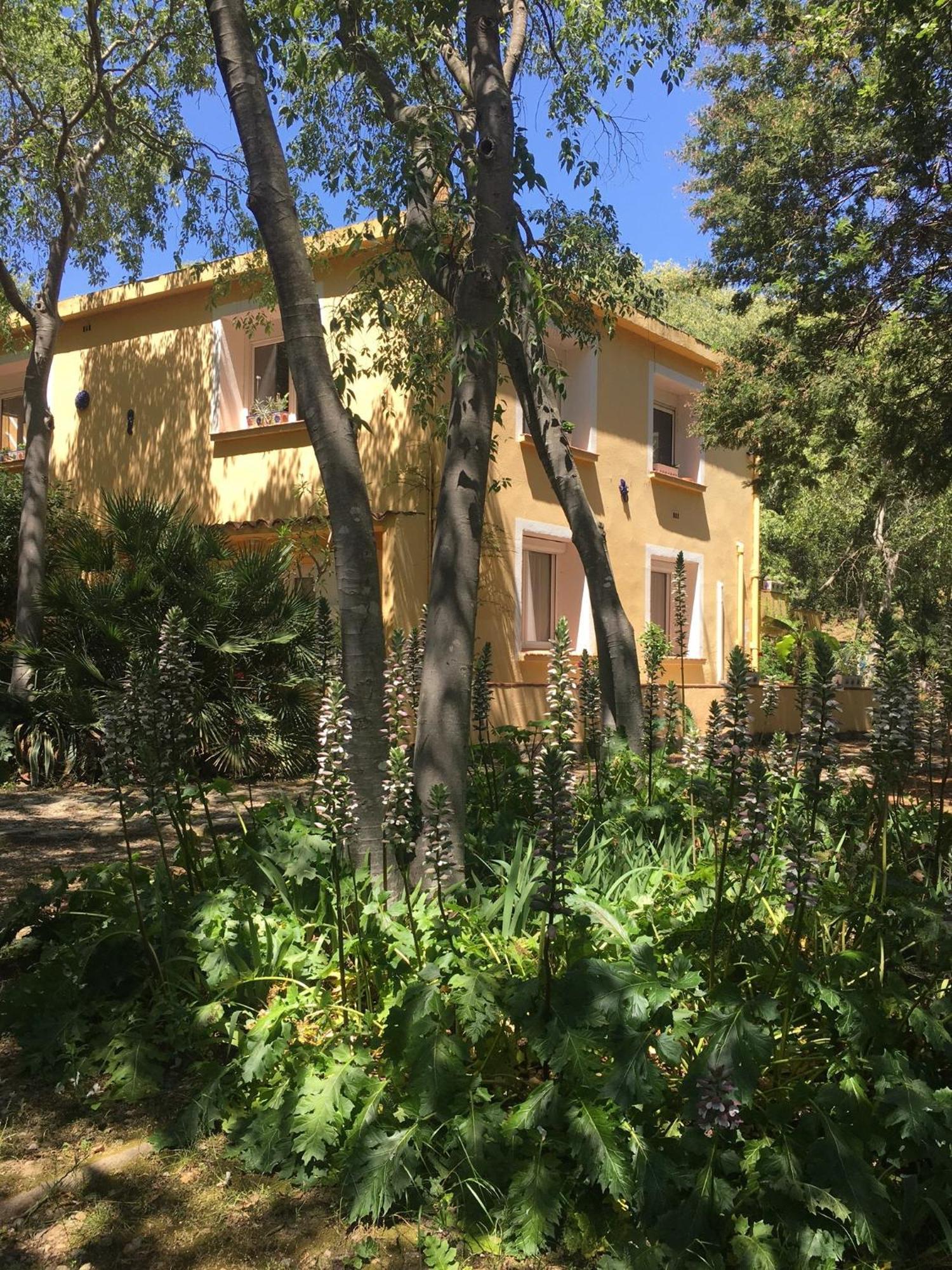 Gites De La Massane Argelès-sur-Mer Exterior foto